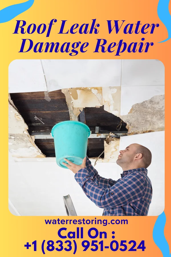 Roof Leak Water Damage Repair in Poneto, IN