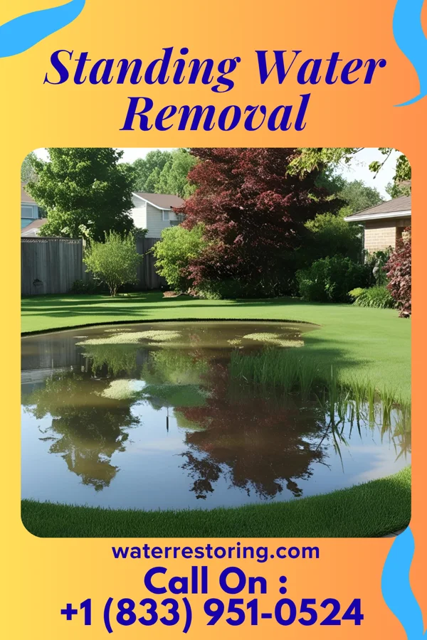 Standing Water Removal in Poneto, IN